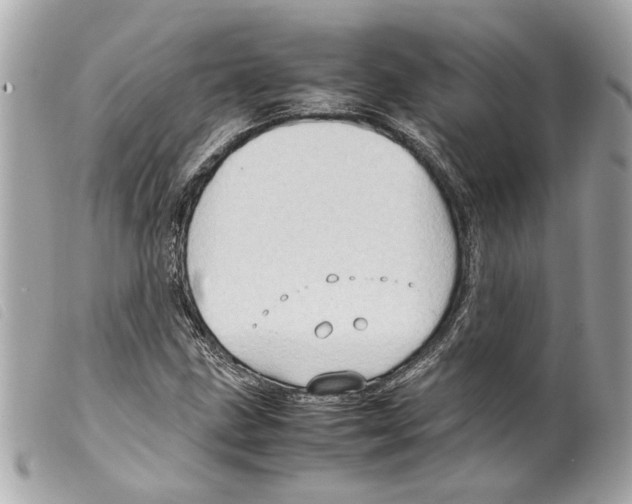 X0000099311211200805301147