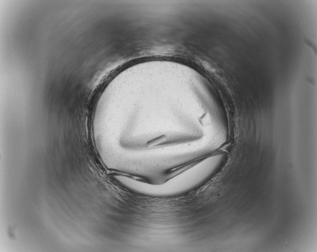 X0000099311214200805301147