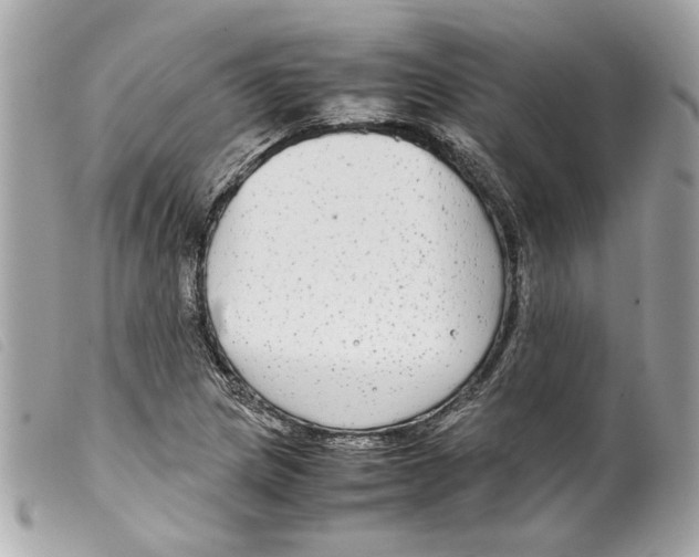 X0000099311217200805301147