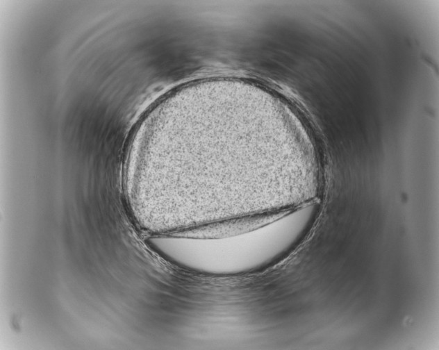 X0000099311220200805301147