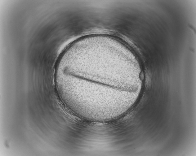 X0000099311222200805301147