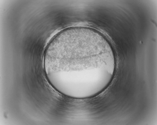 X0000099311224200805301147