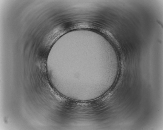 X0000099311225200805301147