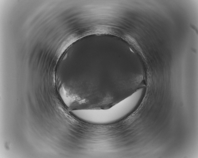 X0000099311226200805301147