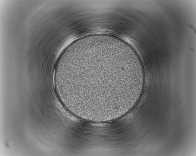 X0000099311227200805301147