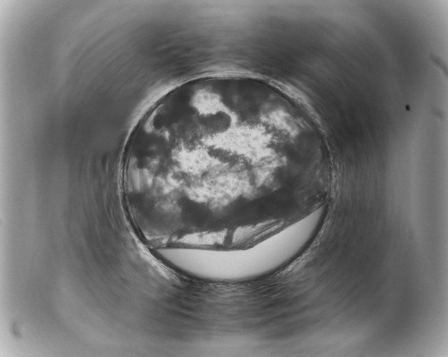 X0000099311231200805301147