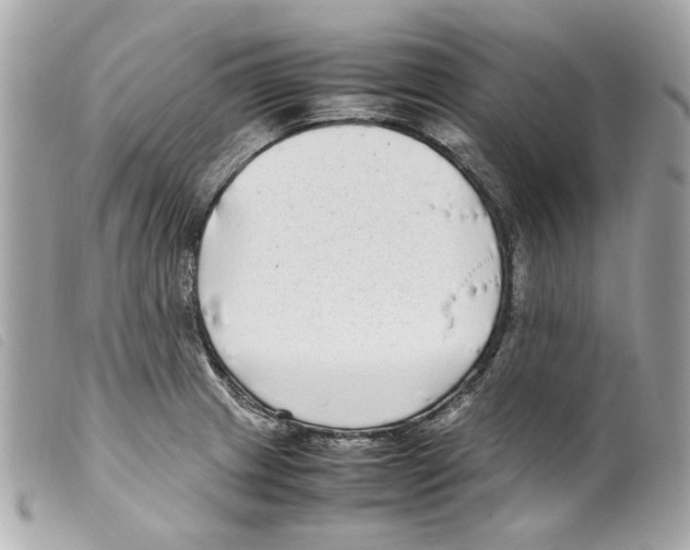 X0000099311233200805301147