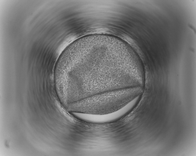 X0000099311234200805301147