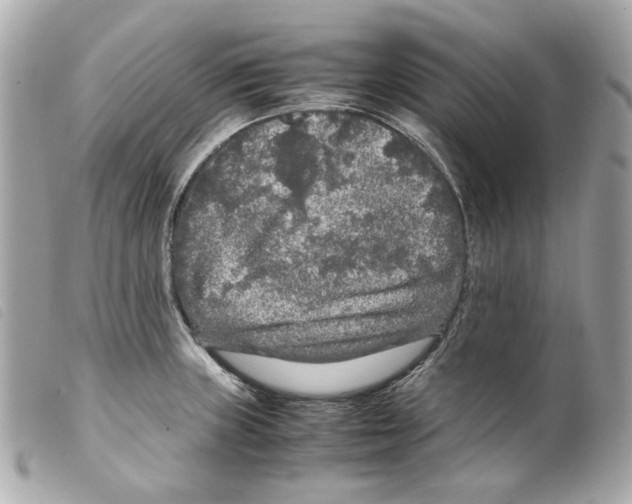 X0000099311235200805301147