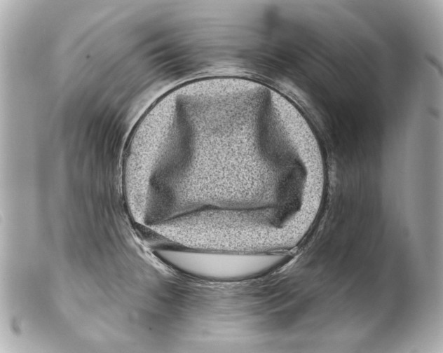 X0000099311236200805301147