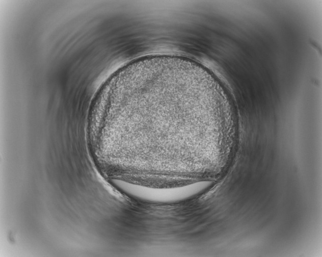 X0000099311237200805301147