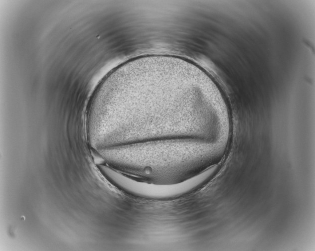 X0000099311238200805301147