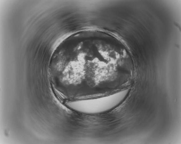 X0000099311239200805301147