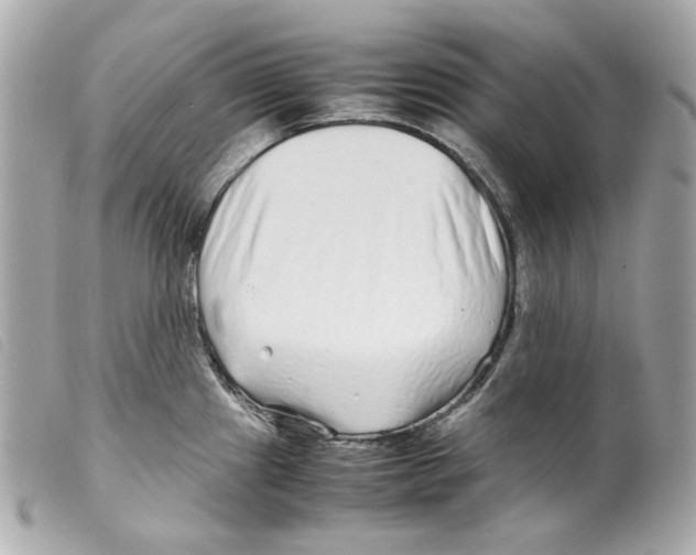 X0000099311241200805301147