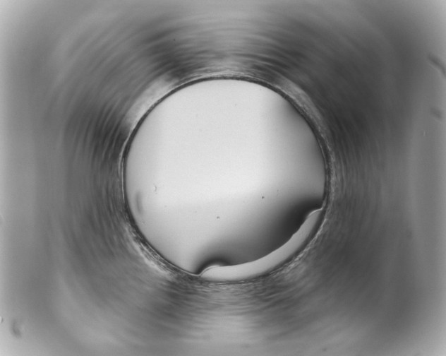 X0000099311242200805301147