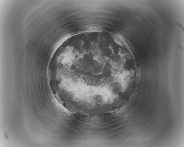 X0000099311243200805301147