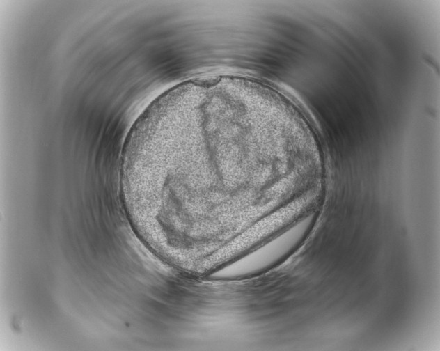 X0000099311244200805301147