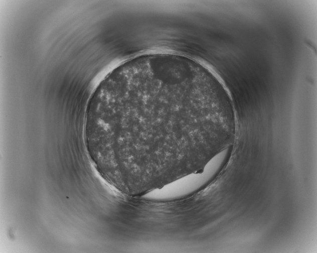 X0000099311245200805301148