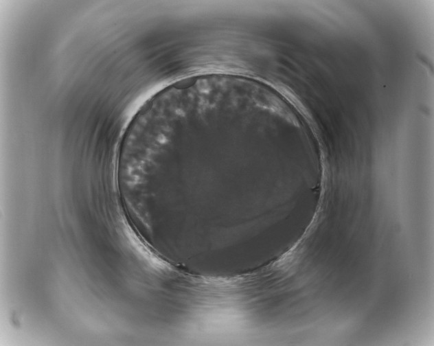 X0000099311246200805301148