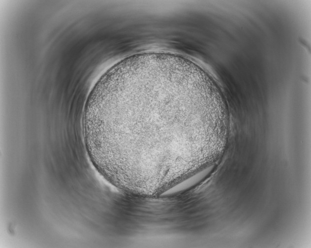 X0000099311247200805301148