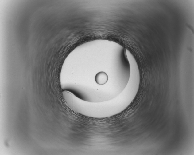 X0000099311249200805301147