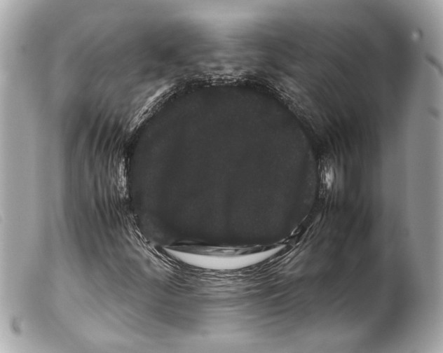 X0000099311252200805301147