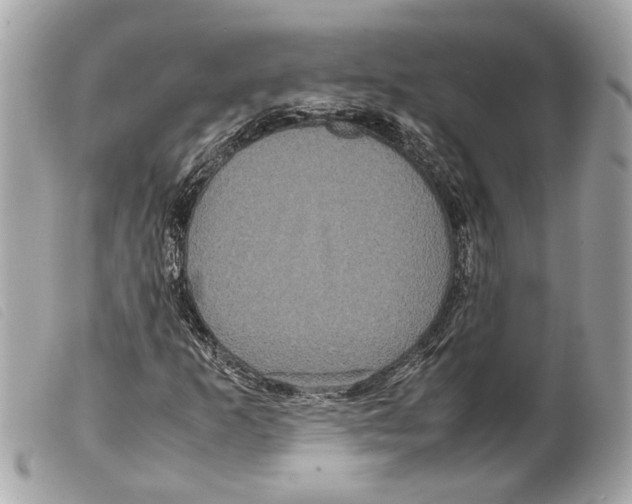 X0000099311253200805301147