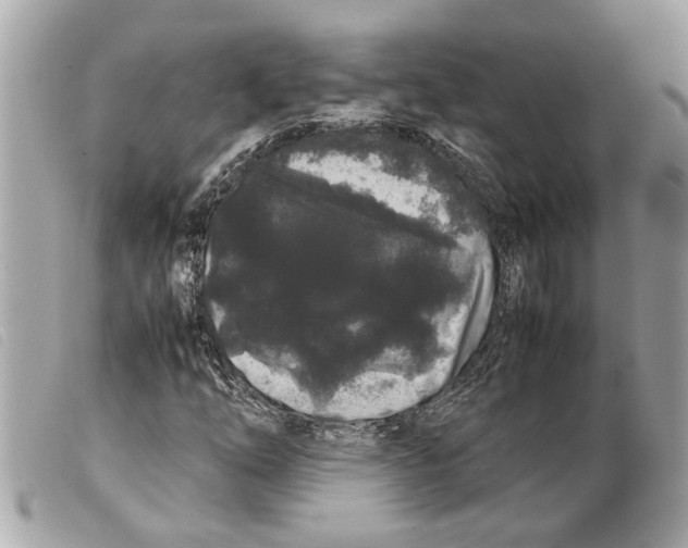 X0000099311254200805301147