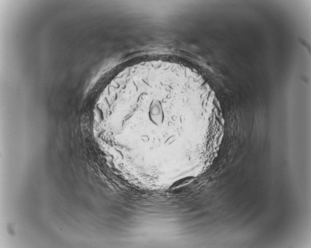 X0000099311255200805301147