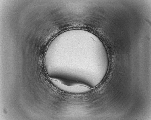 X0000099311257200805301147