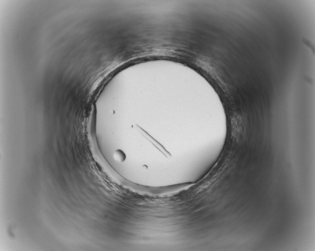 X0000099311260200805301147