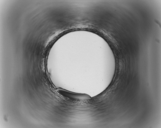 X0000099311262200805301147