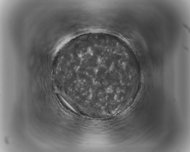 X0000099311263200805301147