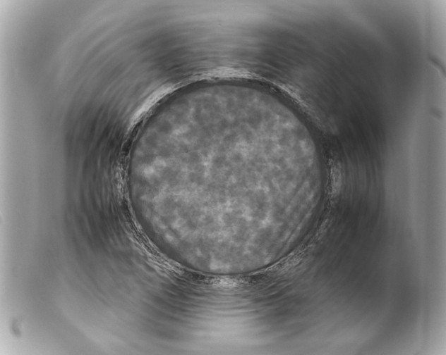 X0000099311266200805301147