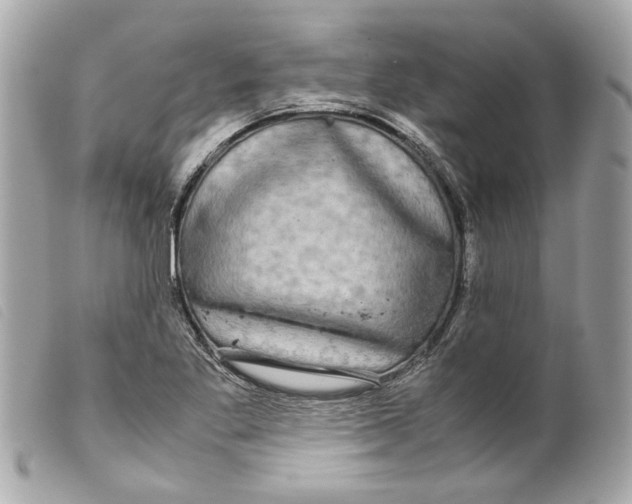 X0000099311269200805301147