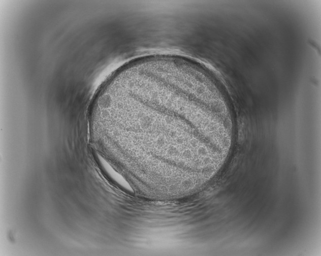 X0000099311271200805301147