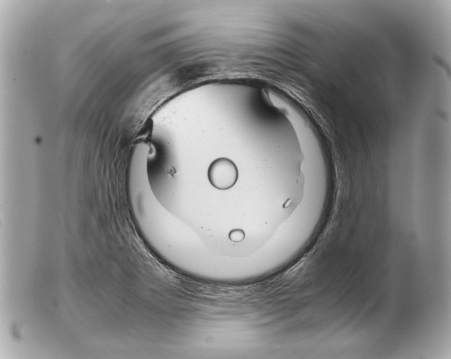 X0000099311273200805301147