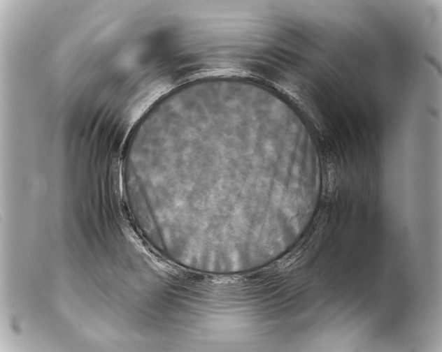 X0000099311274200805301147