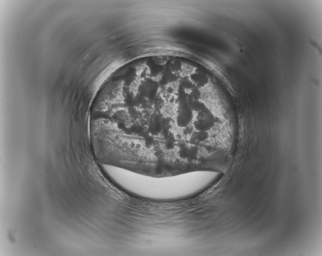 X0000099311275200805301146