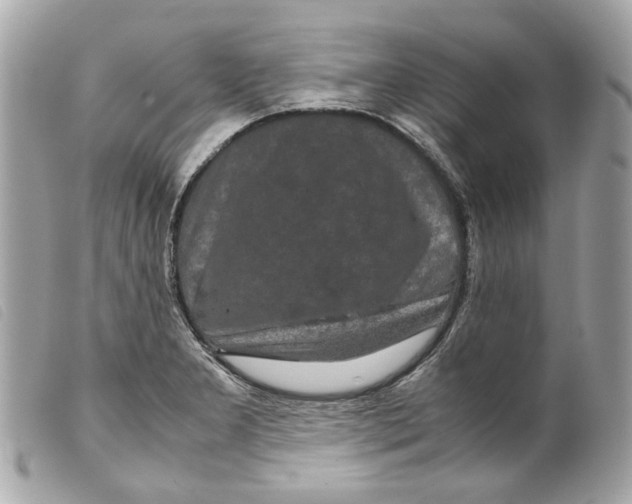 X0000099311277200805301146