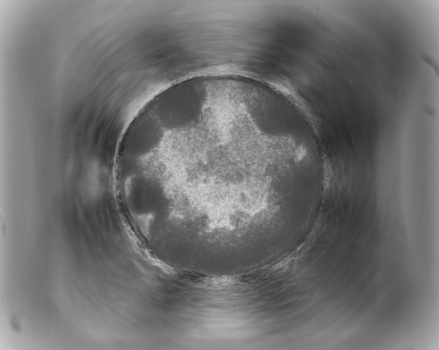 X0000099311278200805301146