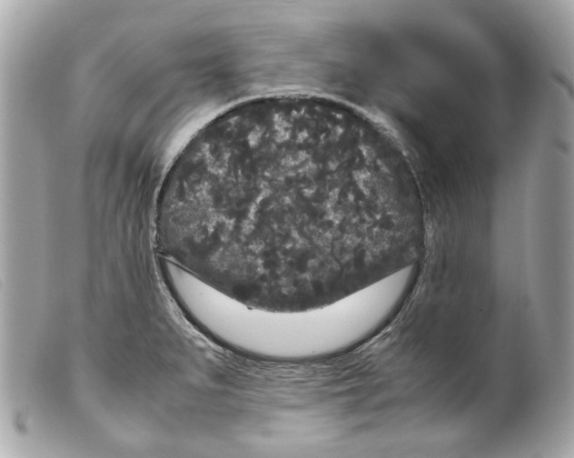 X0000099311279200805301146