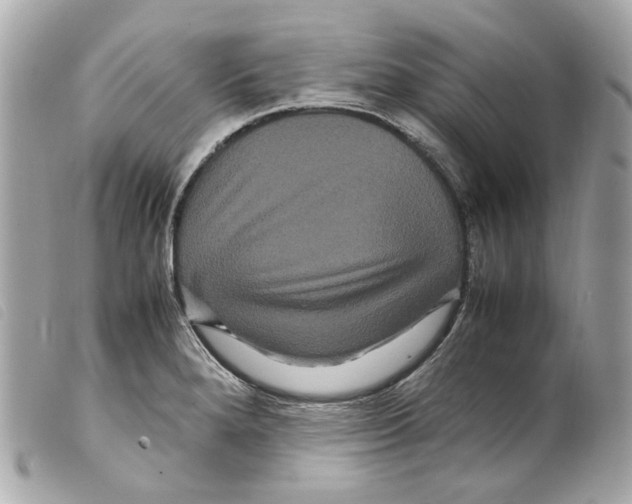 X0000099311280200805301146