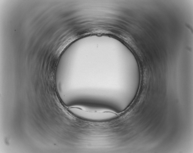 X0000099311281200805301146