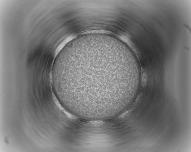 X0000099311282200805301146