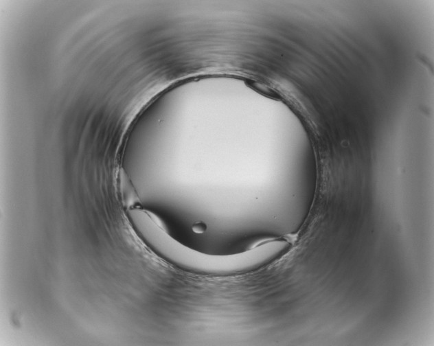 X0000099311284200805301146