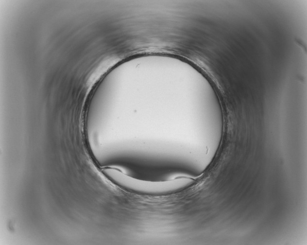 X0000099311285200805301146