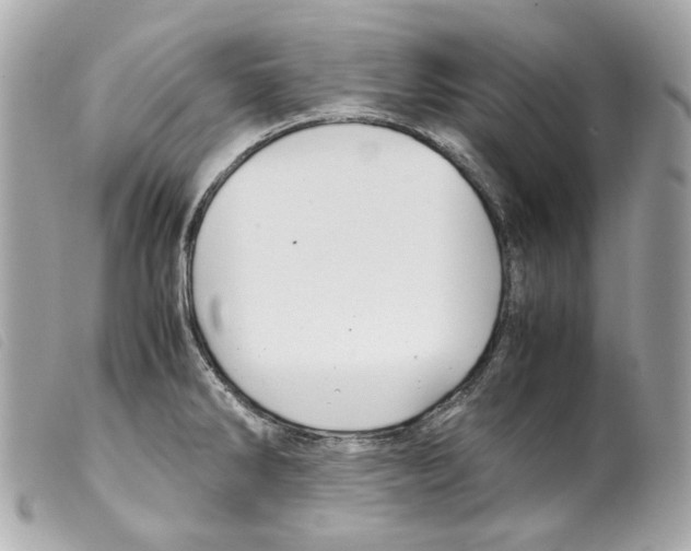 X0000099311286200805301146