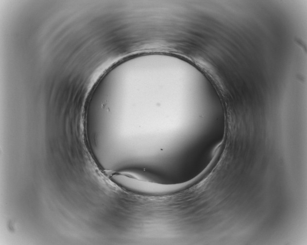 X0000099311288200805301146