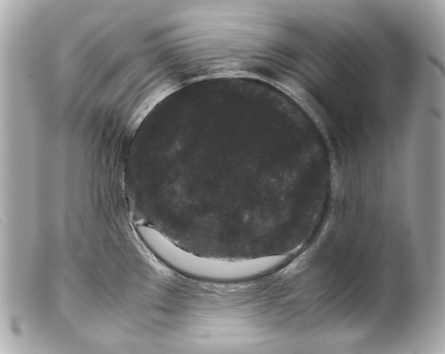 X0000099311289200805301146